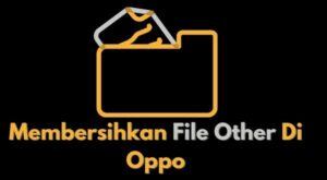 Cara Membersihkan File Other Di Oppo Paling Akurat